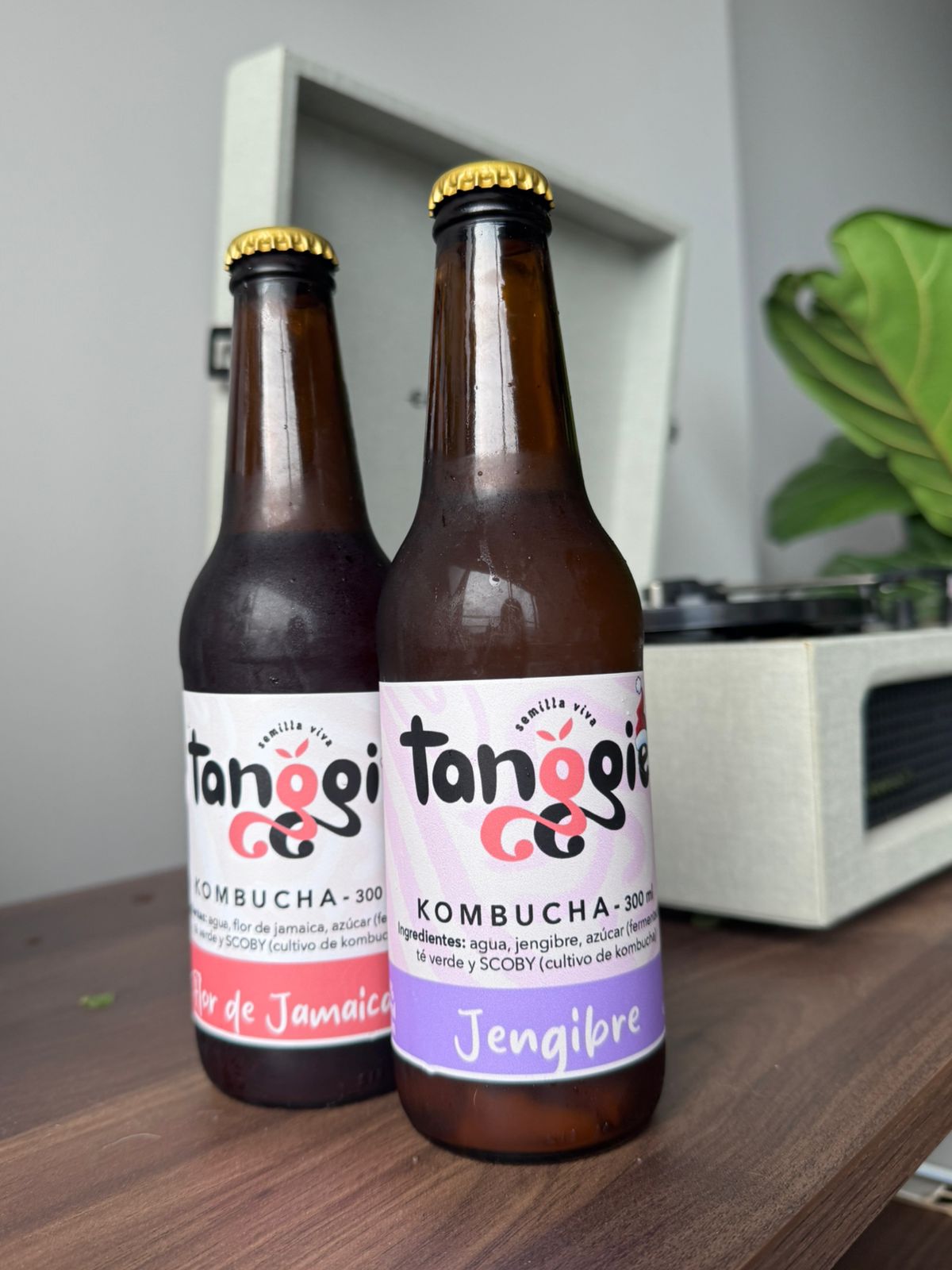 Kombucha de Jengibre